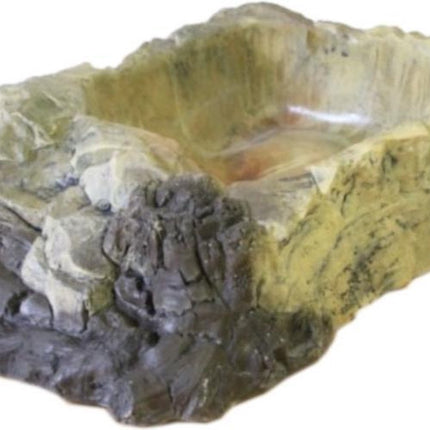 Terrarium bowl XXL