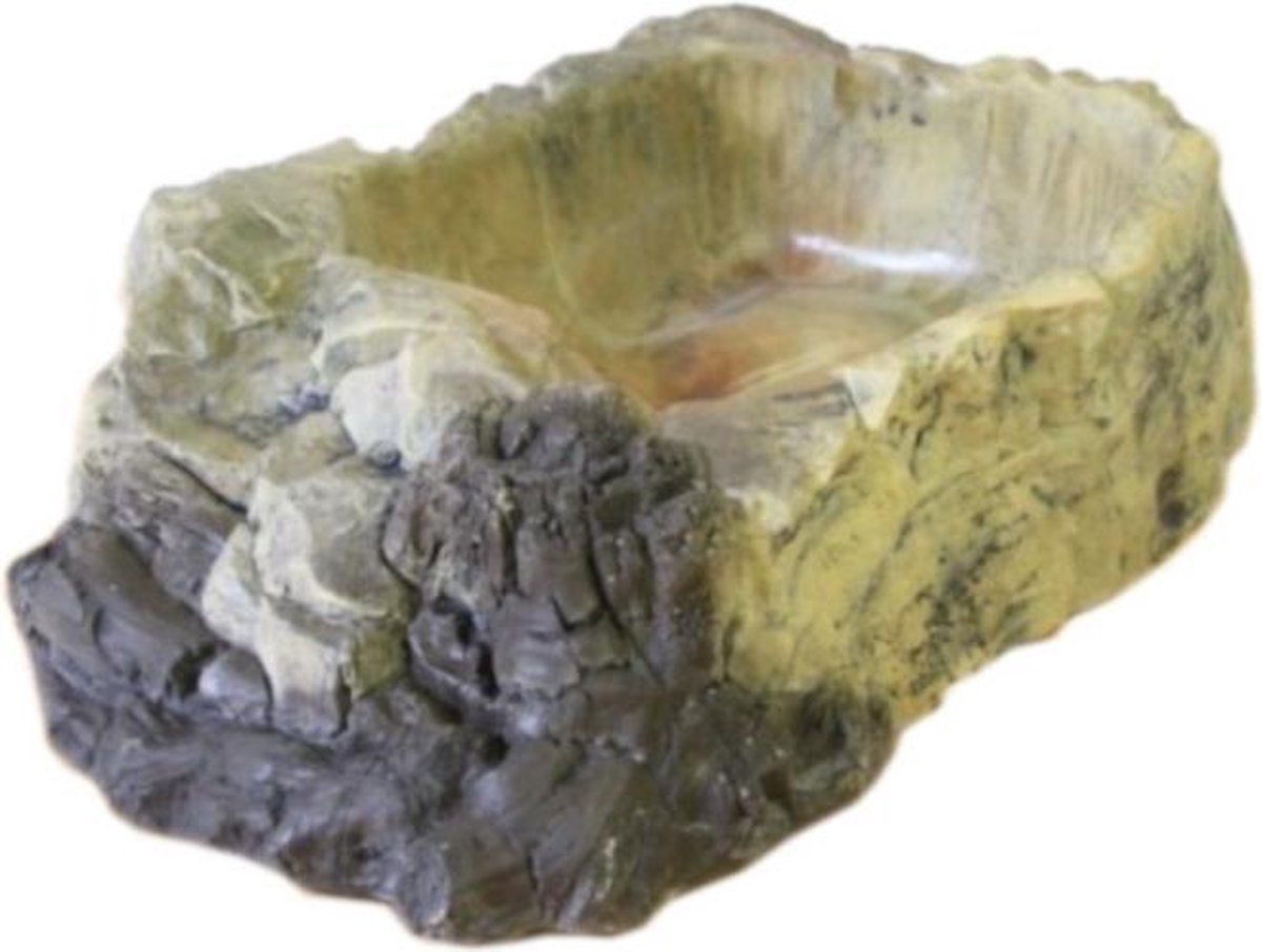 Terrarium bowl XXL
