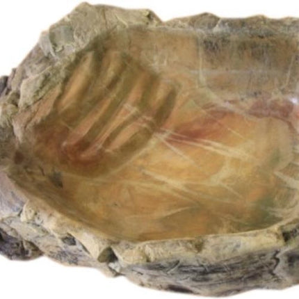 Terrarium bowl XXL
