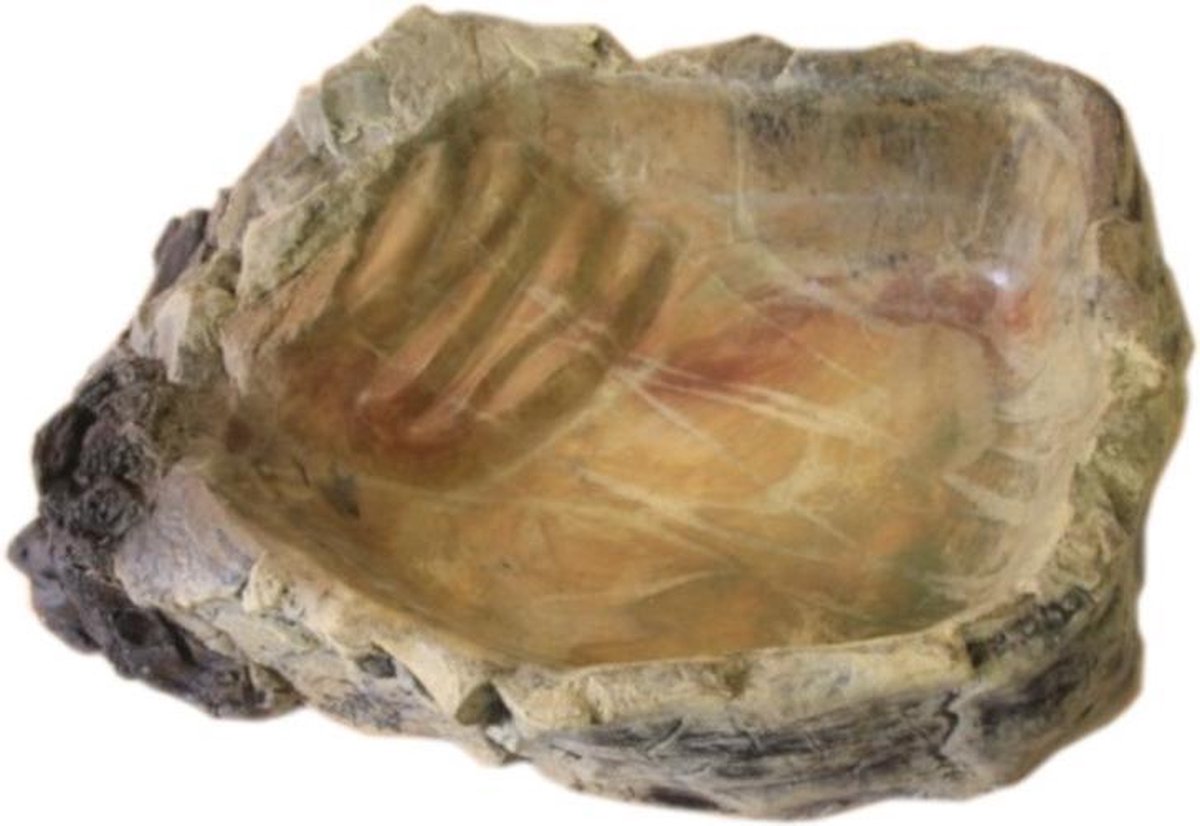 Terrarium bowl XXL
