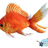 Goldfish plush