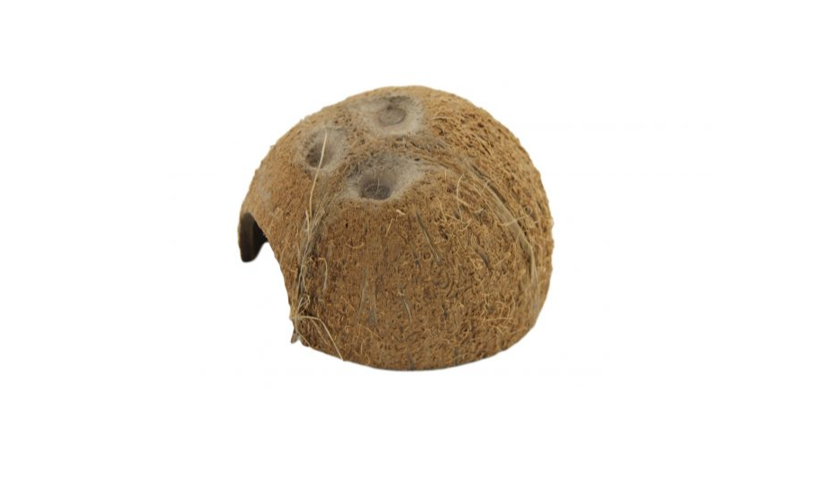 half coconut shelter