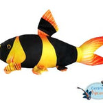 Clown loach plush