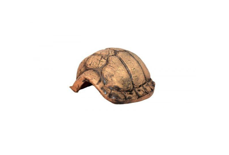turtle cave